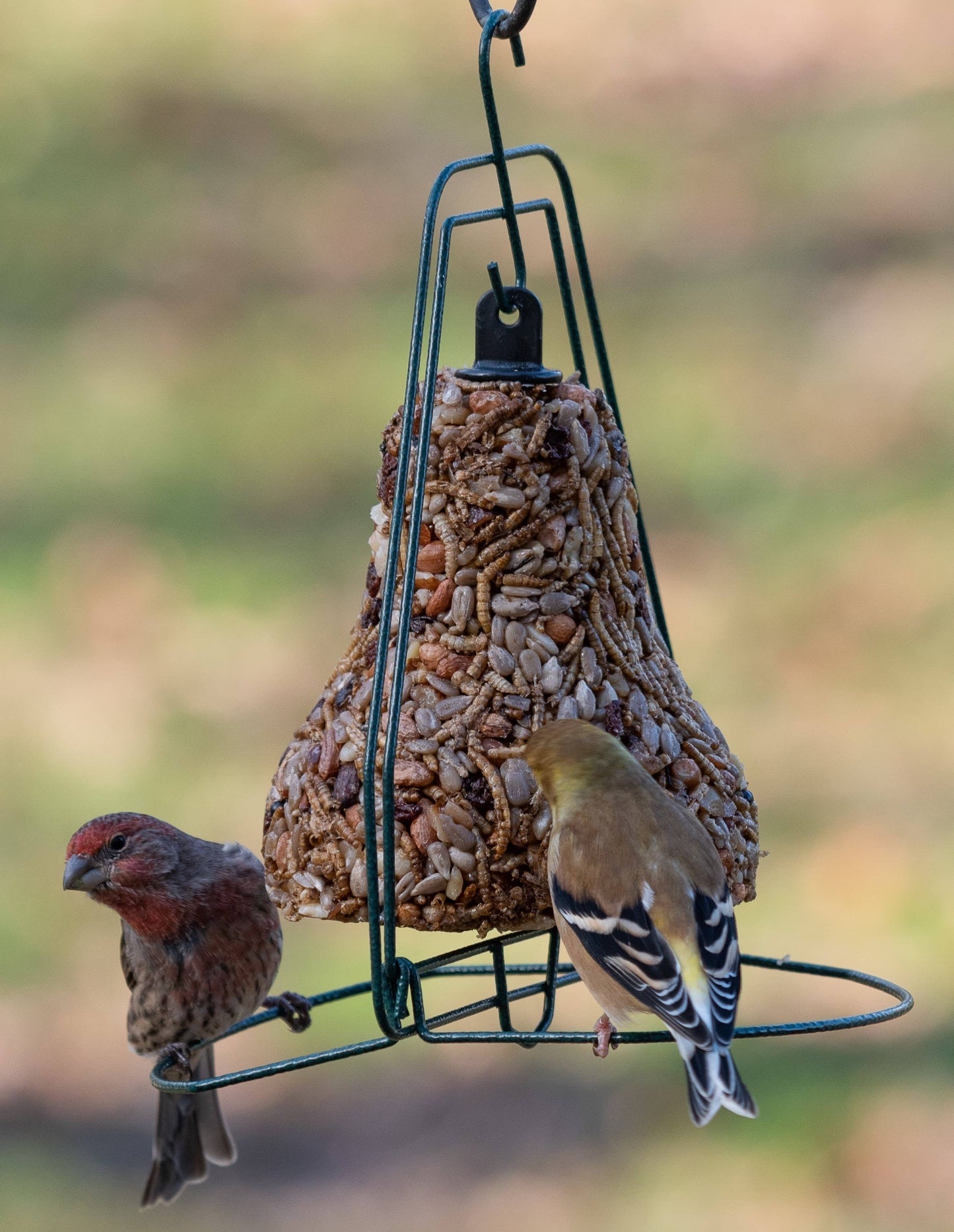 Mr. Bird Bugs, Nuts & Fruit Birdseed Bell