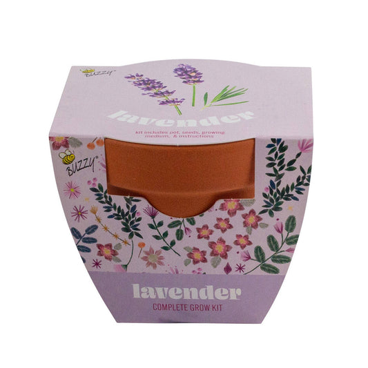 Lavender Grow Starter Kit with 3.3" Terracotta Pot