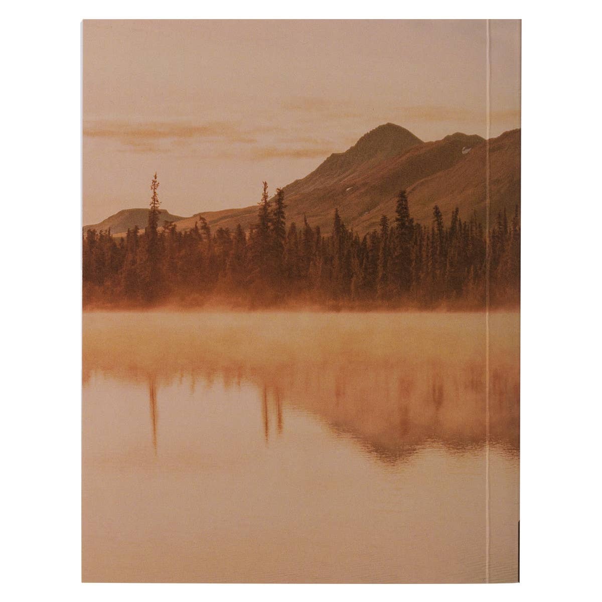 The Power of Prayer One-Minute Devotions - Softcover