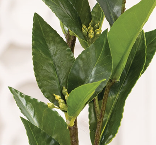 Lush Green Laurel Spray - 27.5"