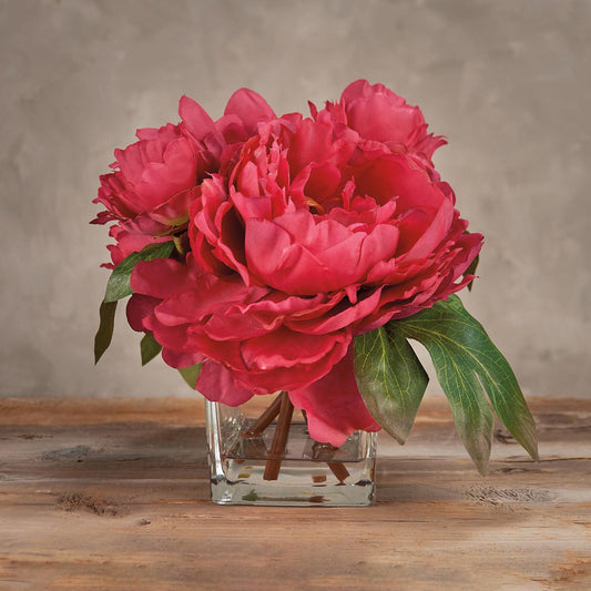 Peonies in Clear Vase - Deep Pink