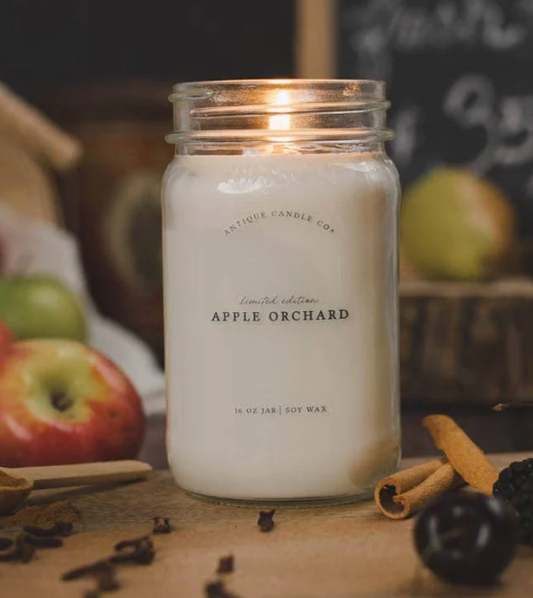Apple Orchard - Antique Candle Co
