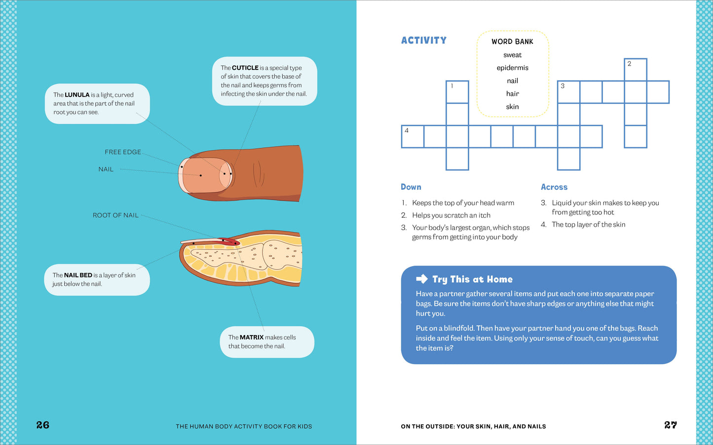 Human Body Activity Book for Kids