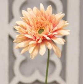 Blooming Daisy Stem - Dark Pink