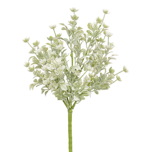 White Star Lavender Buds Bush, 12"