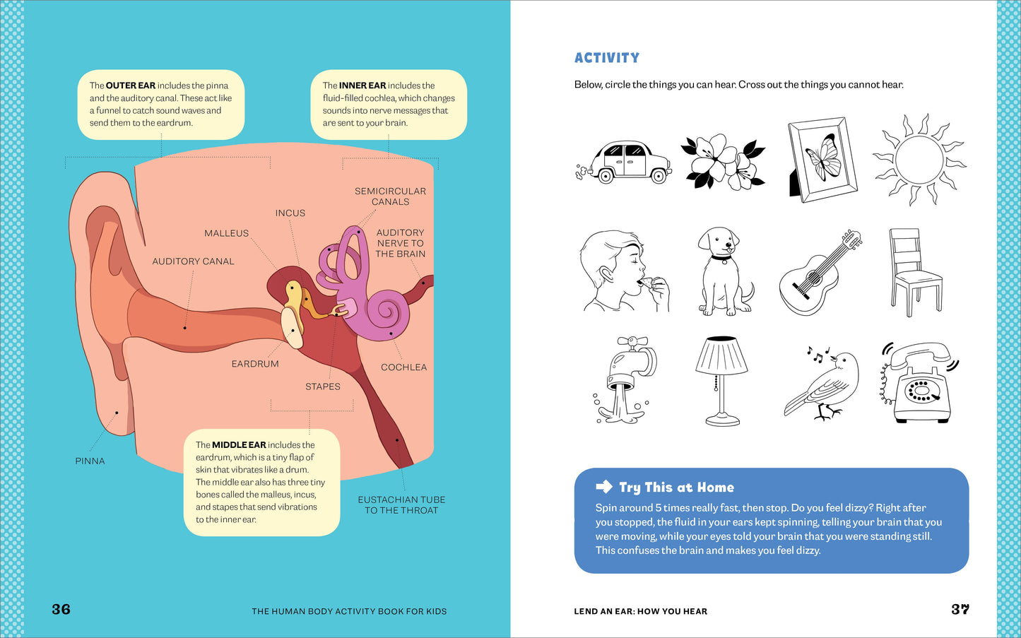 Human Body Activity Book for Kids