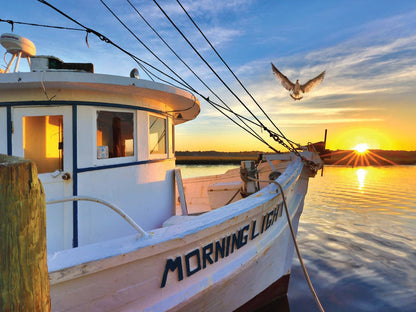 Morning Light 550 Piece Puzzle