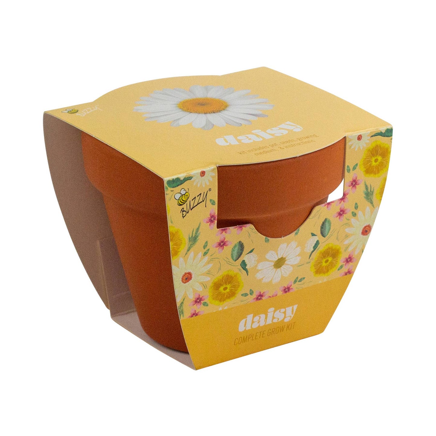 Daisy Grow Starter Kit with 3.3" Terracotta Pot