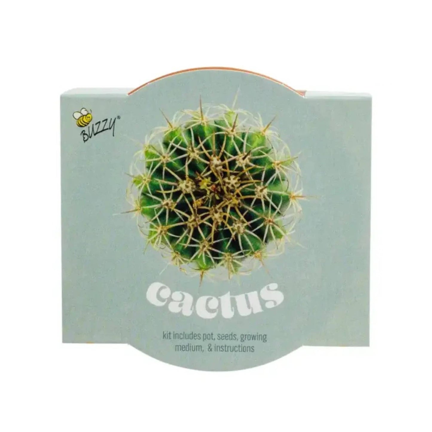 Cactus Grow Starter Kit with 3.3" Terracotta Pot