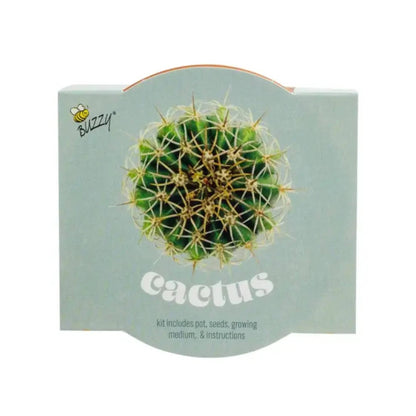 Cactus Grow Starter Kit with 3.3" Terracotta Pot