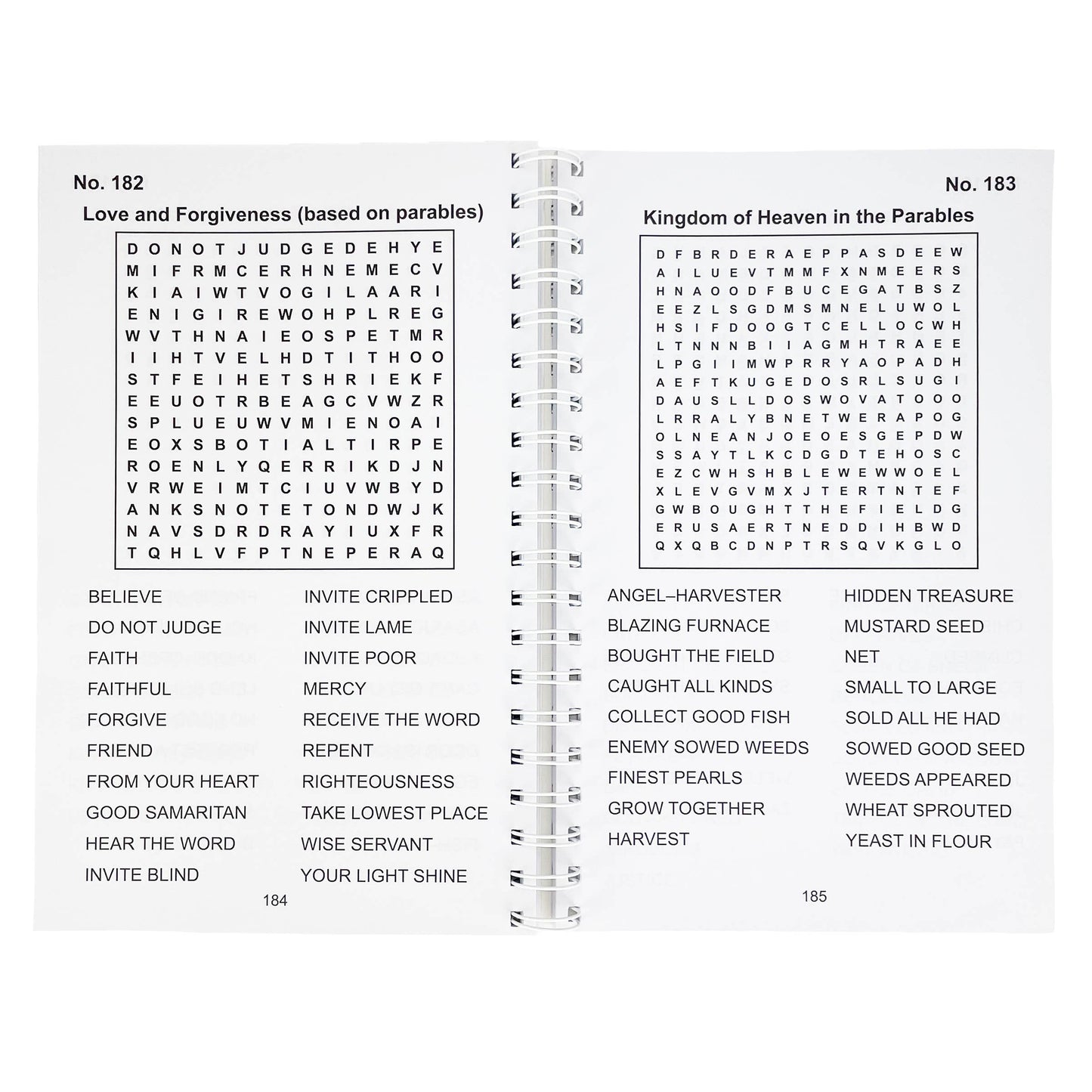 Bible Large Print Word Search - Adult Puzzle Book
