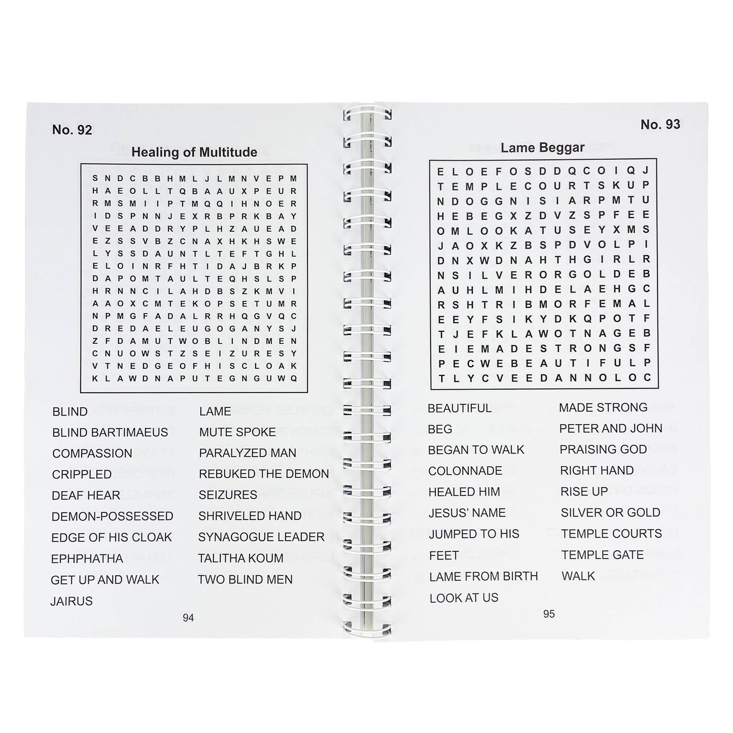 Bible Large Print Word Search - Adult Puzzle Book