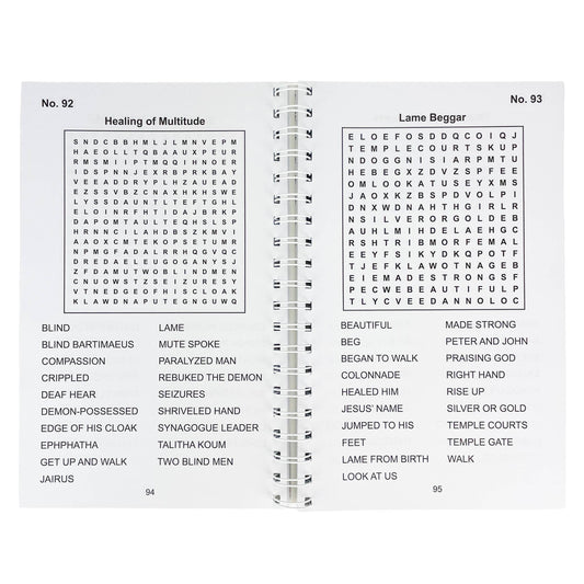 Bible Large Print Word Search - Adult Puzzle Book