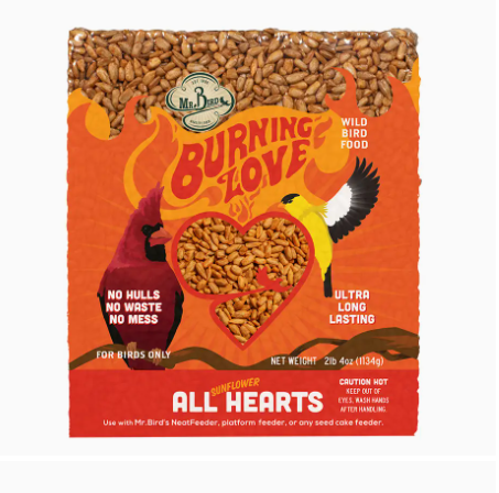 Mr. Bird - Burning Love Bird Seed Block Small