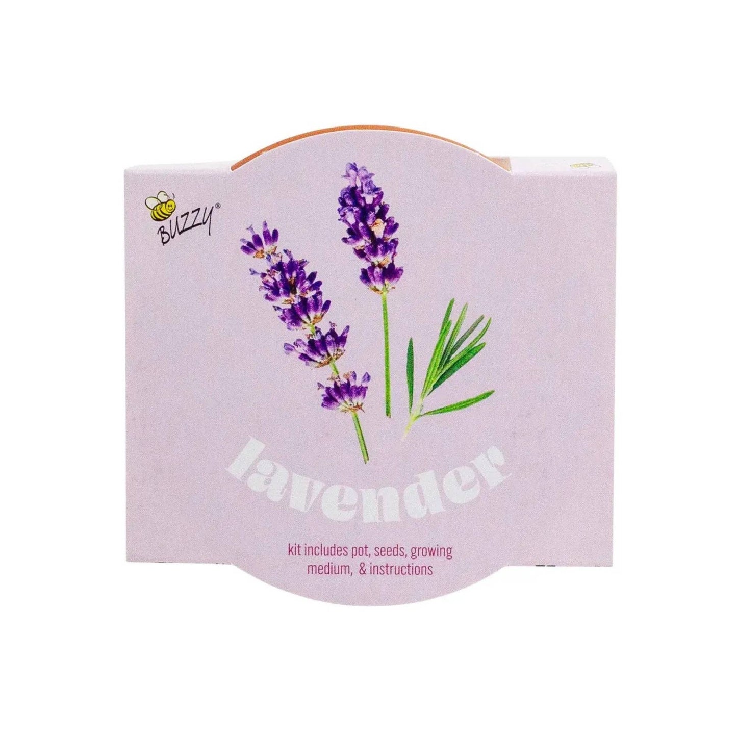Lavender Grow Starter Kit with 3.3" Terracotta Pot
