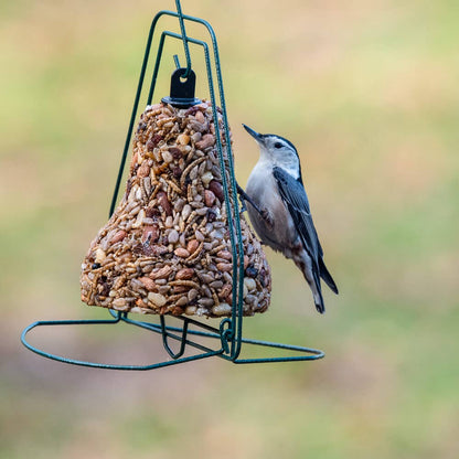 Mr. Bird Bugs, Nuts & Fruit Birdseed Bell