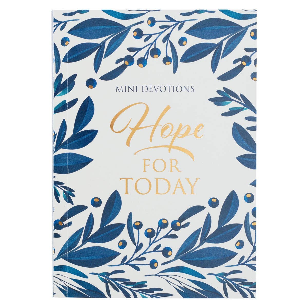 Hope for Today Mini Devotions - Softcover