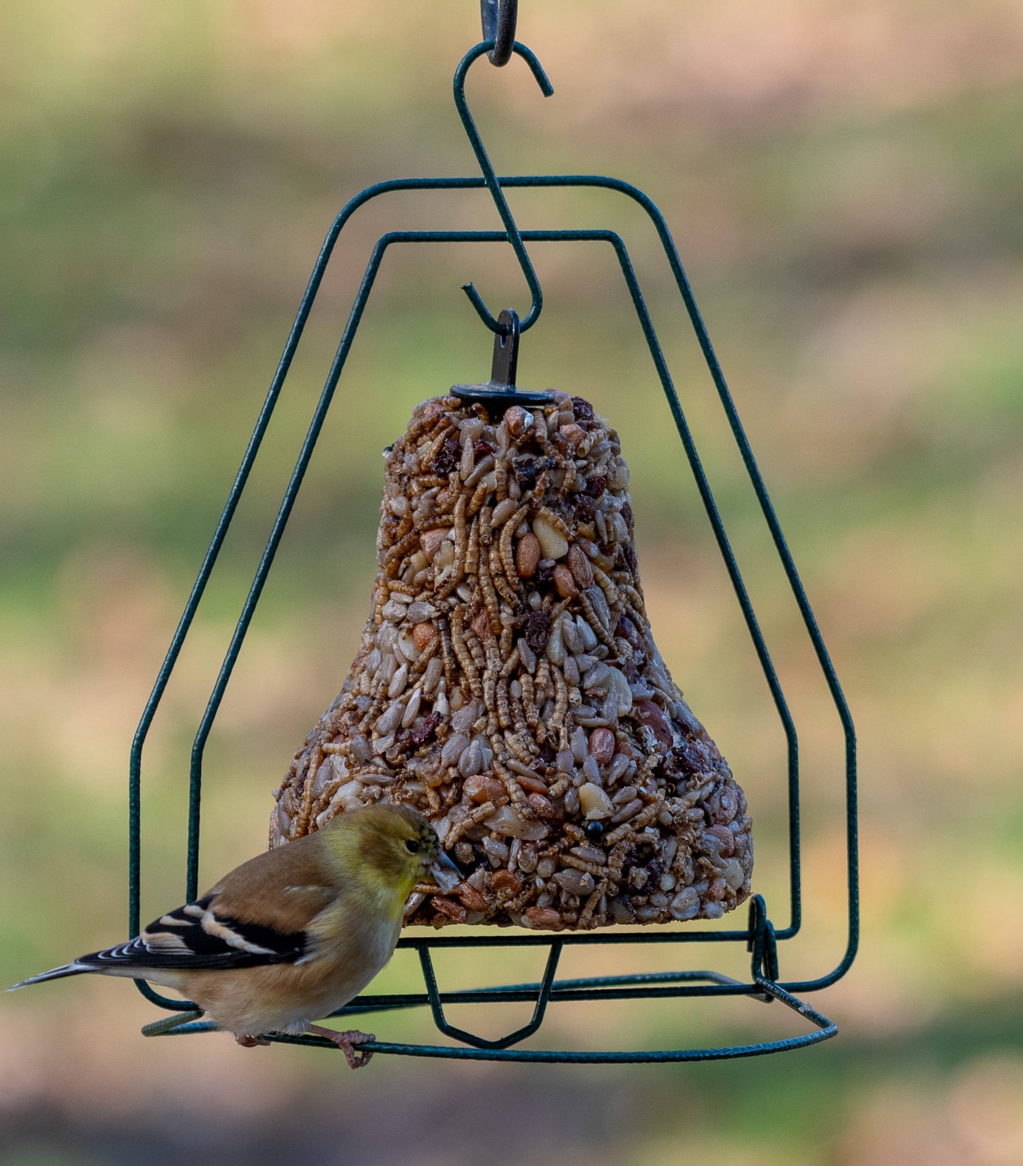 Mr. Bird Bugs, Nuts & Fruit Birdseed Bell