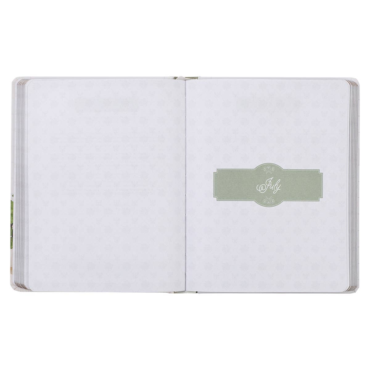 Devotional Daily Hope for a Woman's Heart Devotional - Hardcover