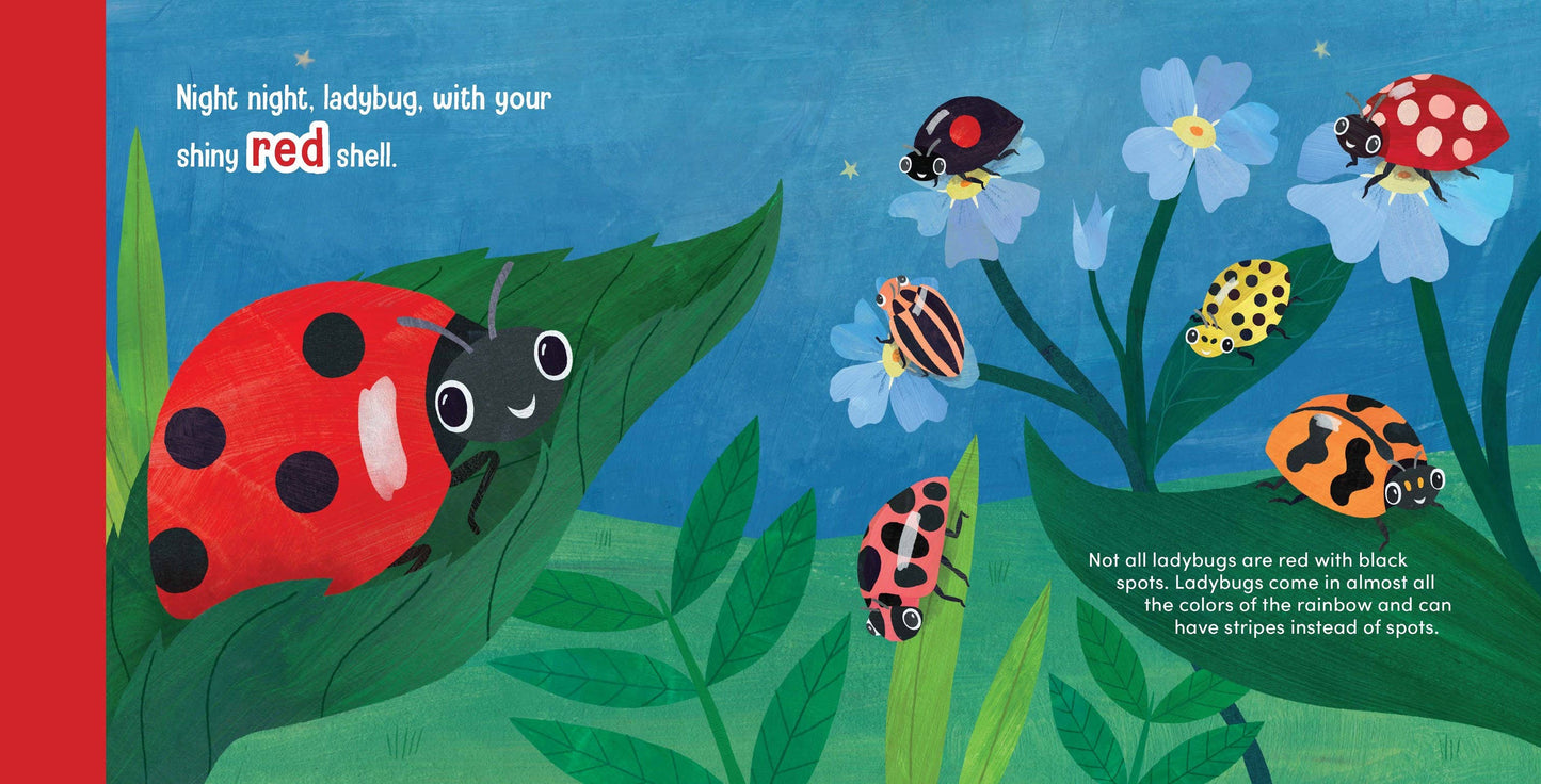 Night Night Ladybug Book