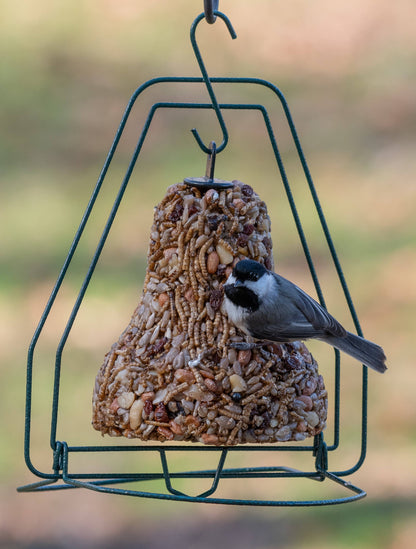 Mr Bird - Seed Bell Hanger