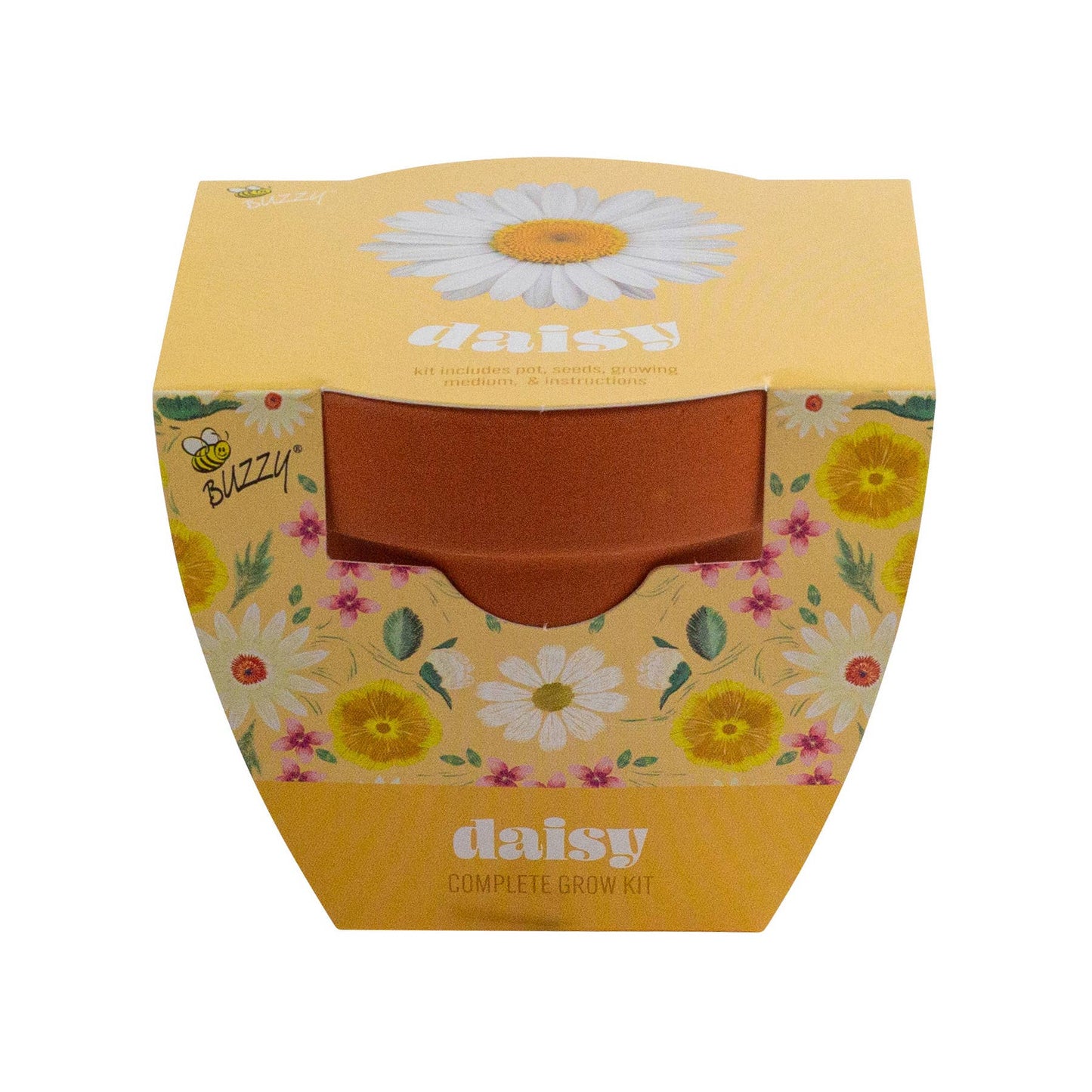 Daisy Grow Starter Kit with 3.3" Terracotta Pot