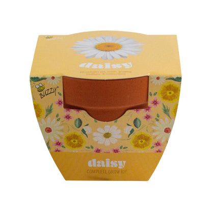 Daisy Grow Starter Kit with 3.3" Terracotta Pot