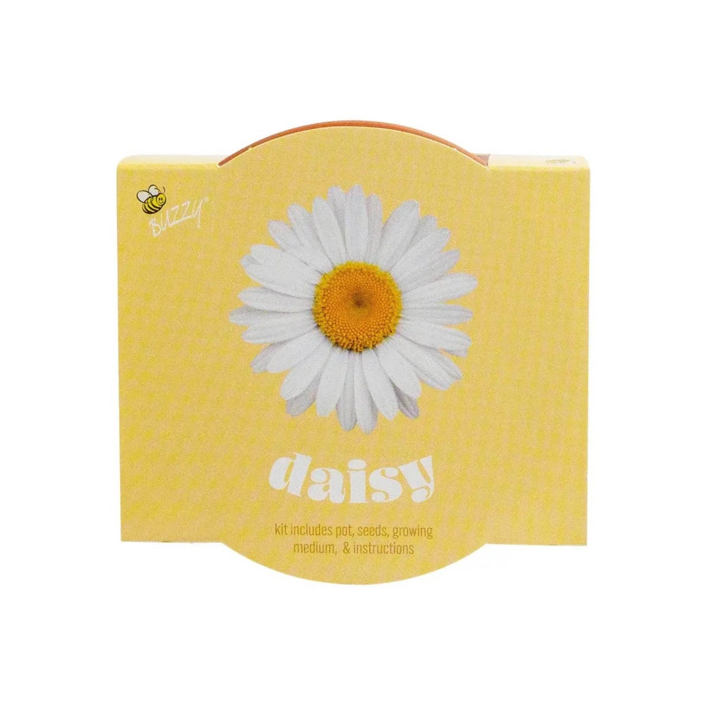 Daisy Grow Starter Kit with 3.3" Terracotta Pot