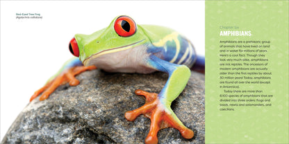 Reptiles for Kids Book