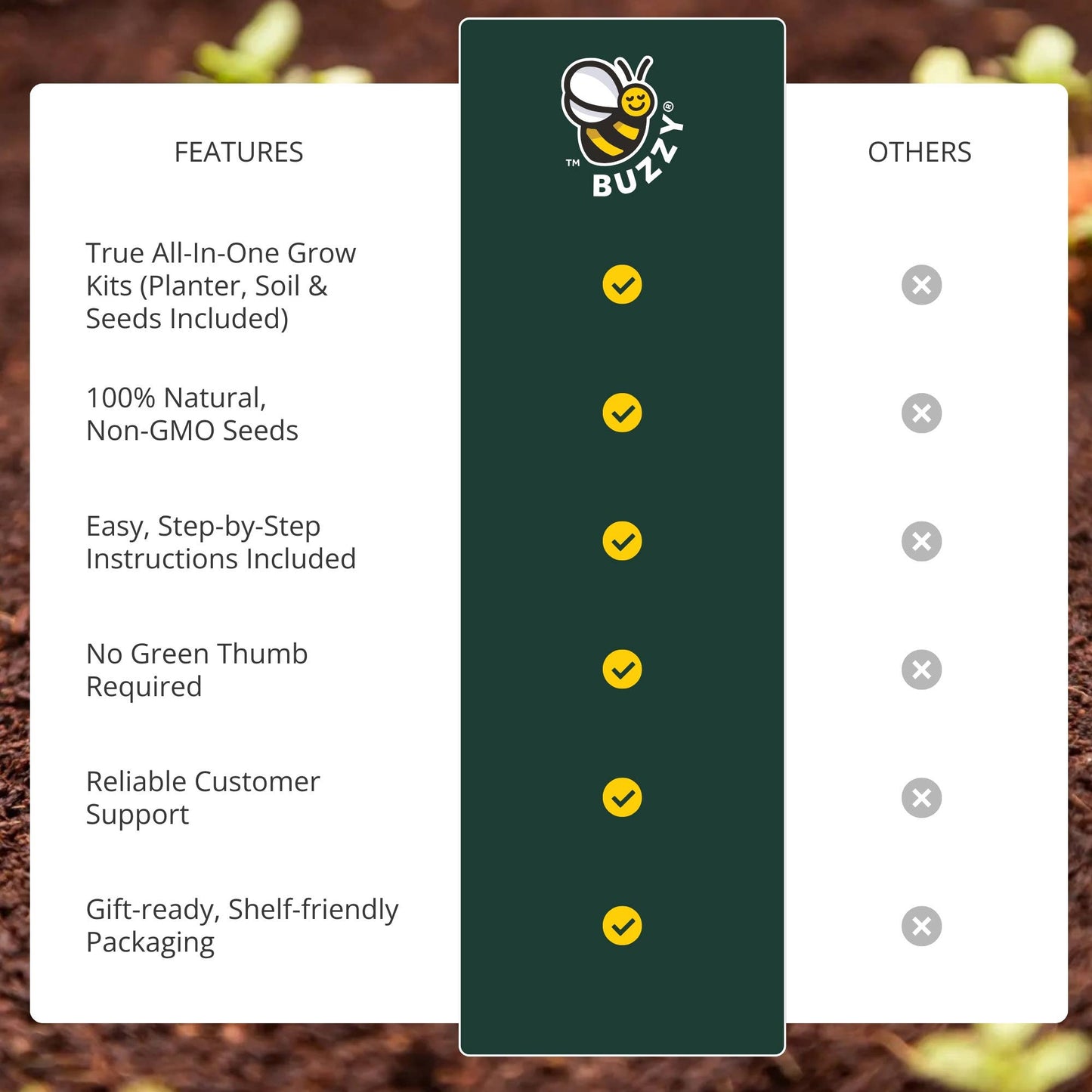 Daisy Grow Starter Kit with 3.3" Terracotta Pot