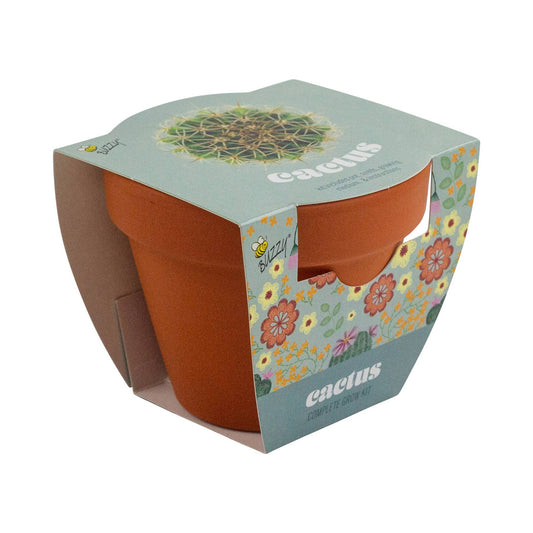 Cactus Grow Starter Kit with 3.3" Terracotta Pot