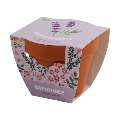 Lavender Grow Starter Kit with 3.3" Terracotta Pot