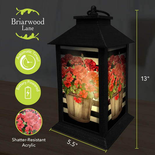 Striped Geraniums Lantern