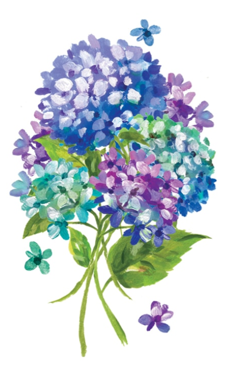 Hydrangea Signature Sign Icon