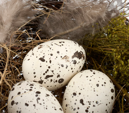 Feathered Nest and Eggs - Faux Bird Nest