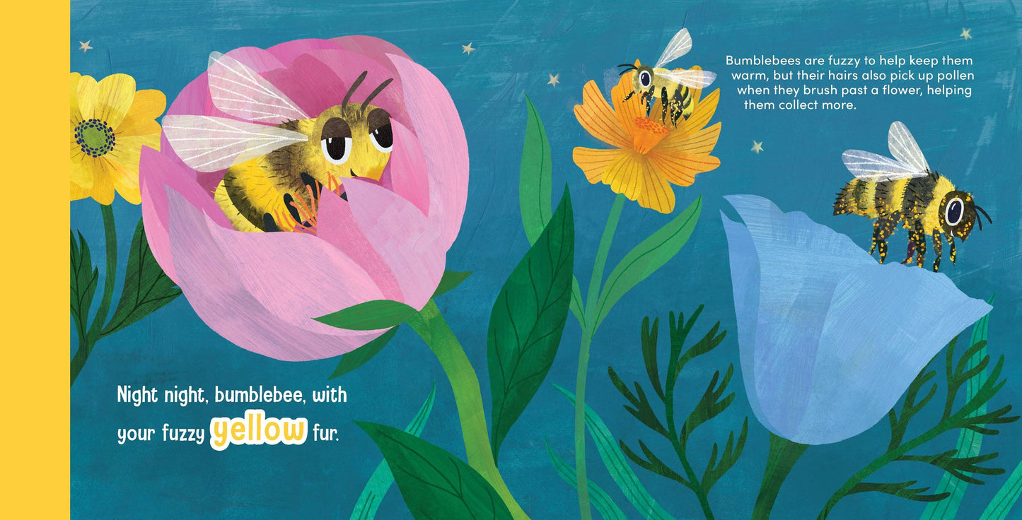 Night Night Ladybug Book