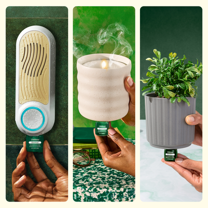 Lifelines ClickWick Fir Needle and Pine Refill-Candle/Plant/ Shower