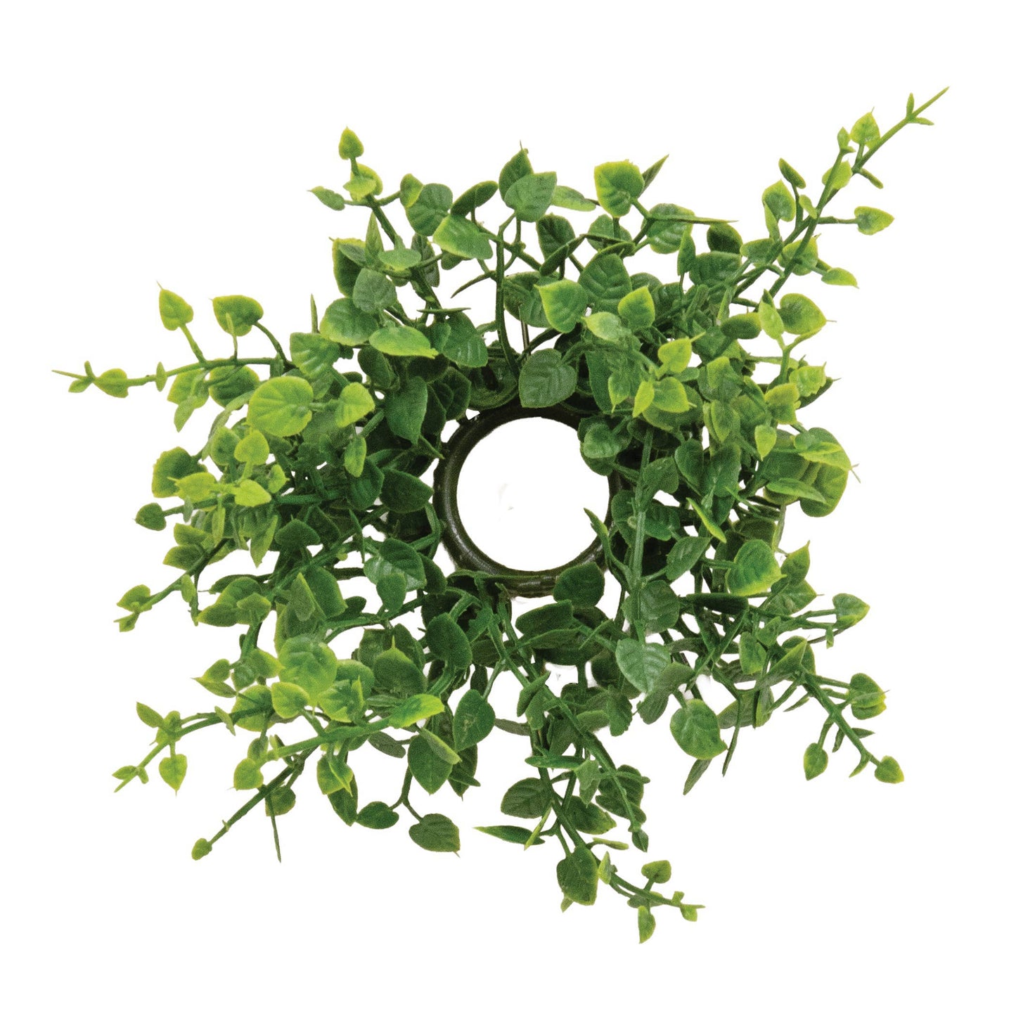 Verdant Baby Eucalyptus Candle Ring - 1"