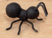 Cast Iron Ant