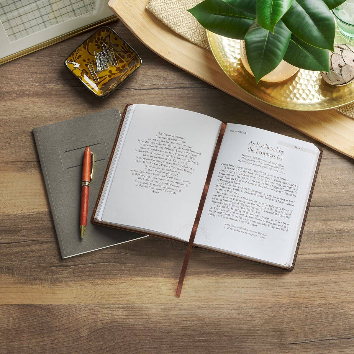 Amazing Grace: God’s Love to Rescue and to Restore Devotional