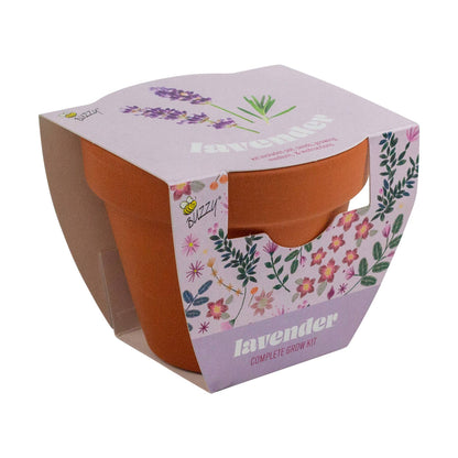 Lavender Grow Starter Kit with 3.3" Terracotta Pot