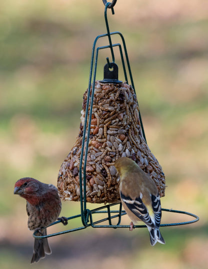 Mr Bird - Seed Bell Hanger