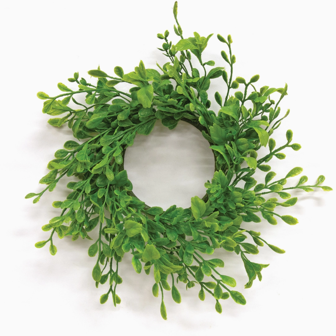 Fresh Sprouted English Boxwood Candle Ring - 3.25"
