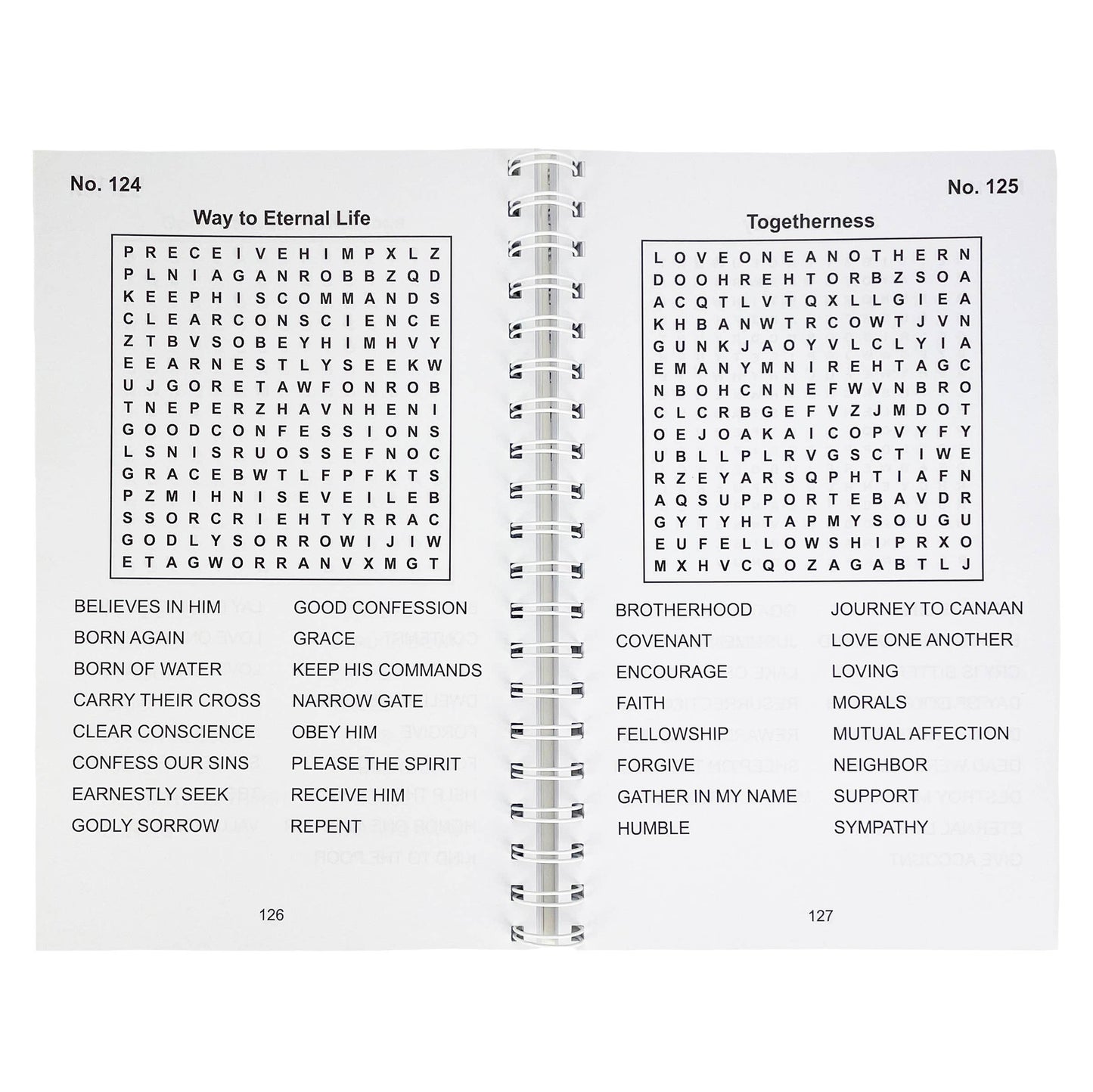 Bible Large Print Word Search - Adult Puzzle Book