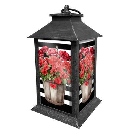 Striped Geraniums Lantern