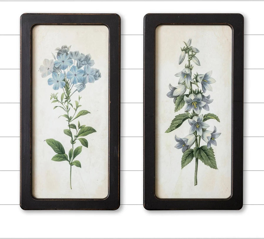 Bluebells And Forget-Me-Nots Framed Prints - 2 Options